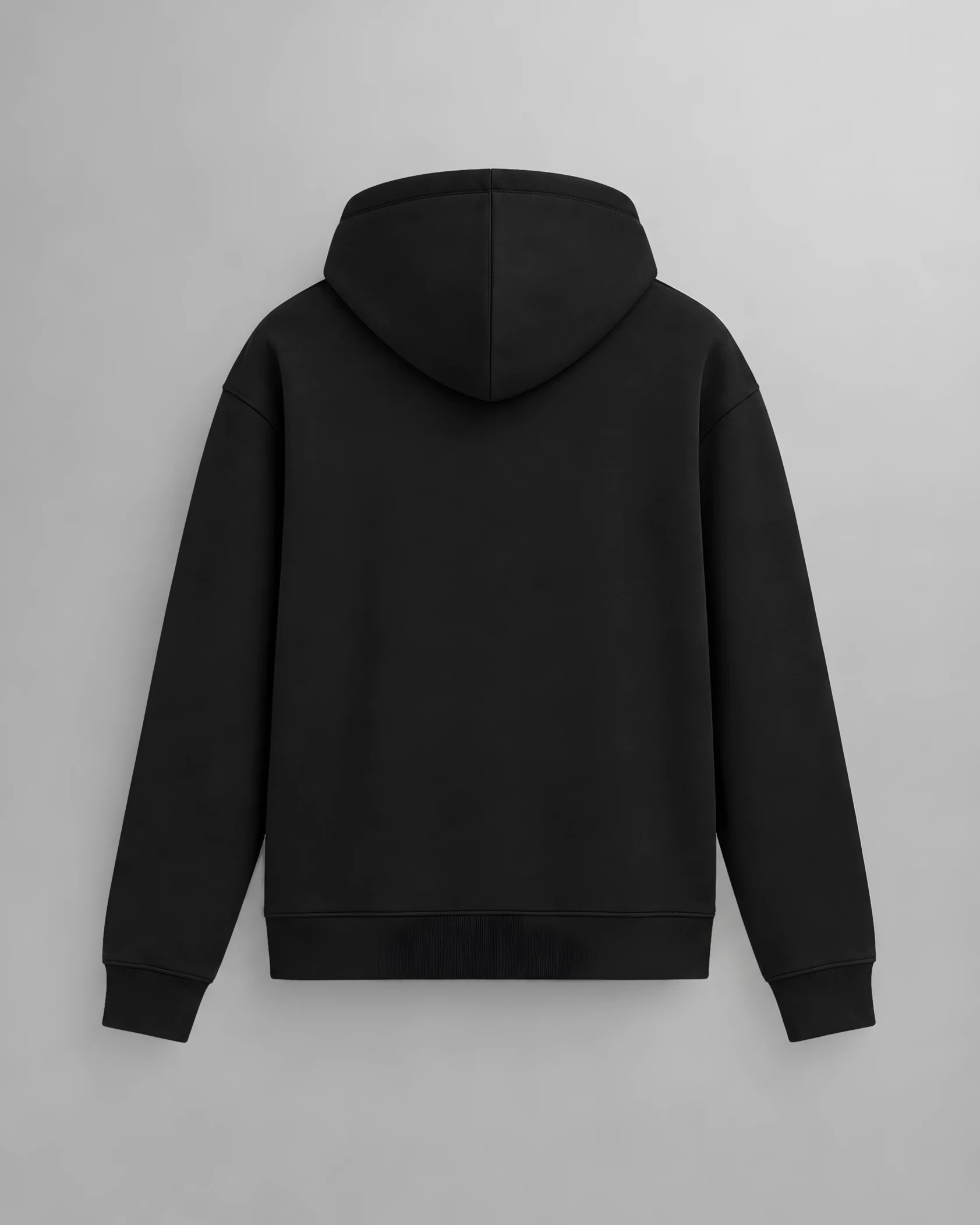 Unisex Hoodie, back view
